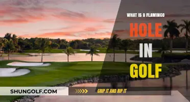 Understanding the Flamingo Hole: A Unique Golf Challenge Explained