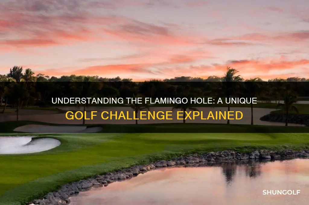 what is a flamingo hole in golf