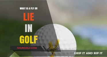 Understanding Golf's Fly or Lie: Rules, Strategy, and Fair Play Explained