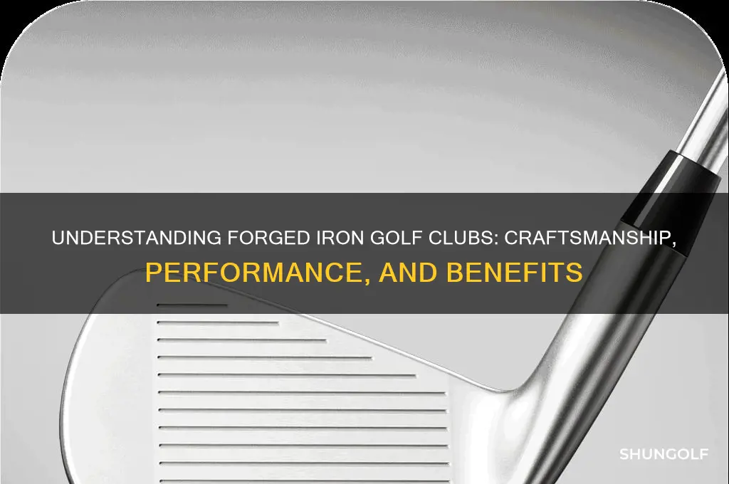 what is a forged iron golf club