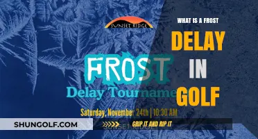 Understanding Frost Delays in Golf: Causes, Impact, and Player Strategies