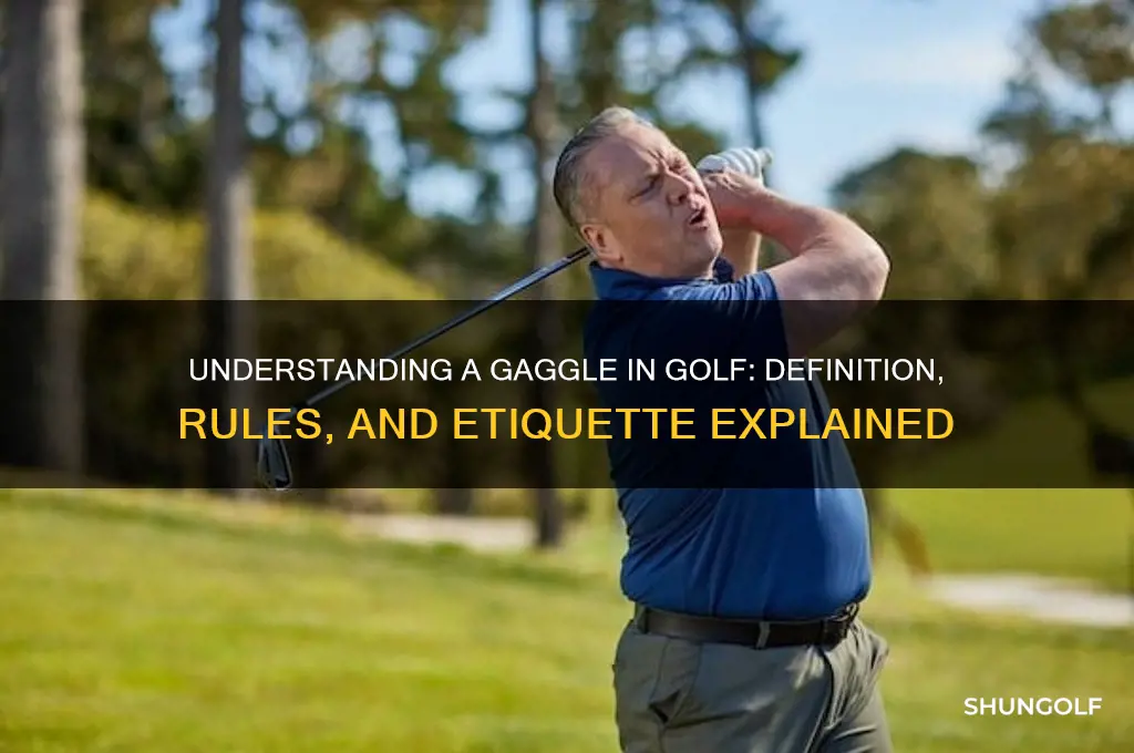 what is a gaggle in golf