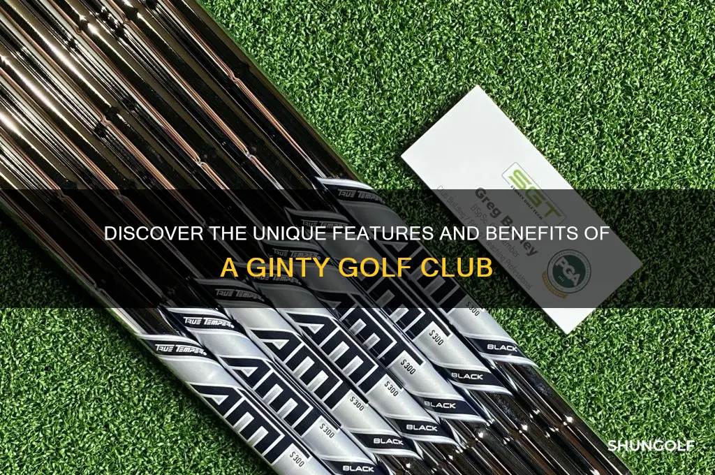 what is a ginty golf club