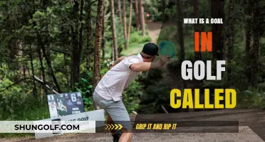 Understanding Golf's Unique Terminology: What is a Goal Called?