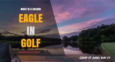 Understanding the Golden Eagle: Golf's Rare and Prestigious Scoring Feat