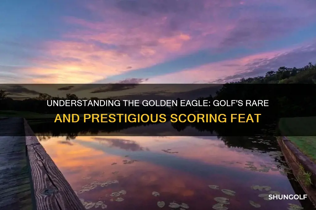 what is a golden eagle in golf