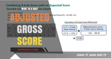 Understanding Golf Adjusted Gross Score: A Beginner's Guide to Calculation