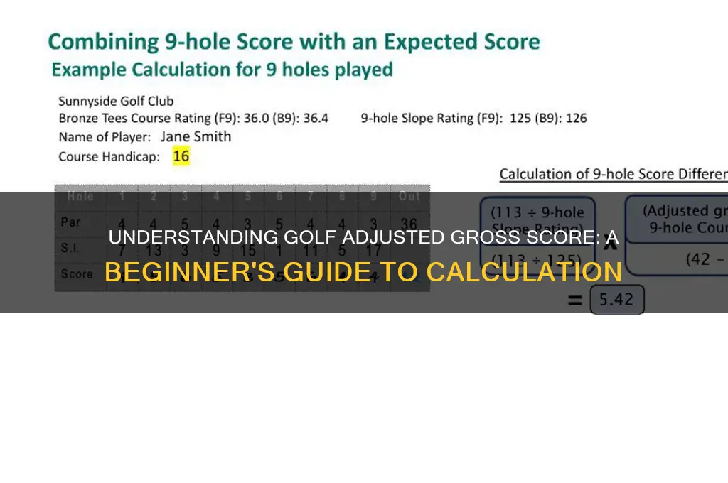 what is a golf adjusted gross score