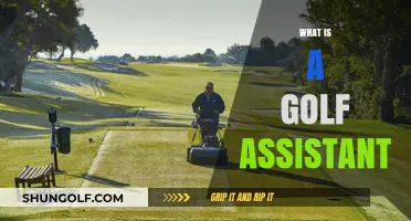What is a Golf Assistant? A Beginner's Guide to Golf Assistance
