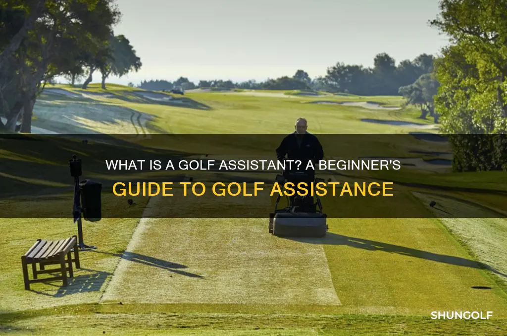 what is a golf assistant