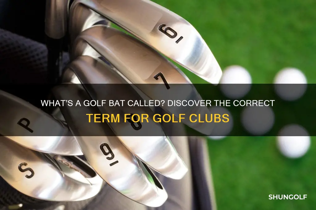 what is a golf bat called
