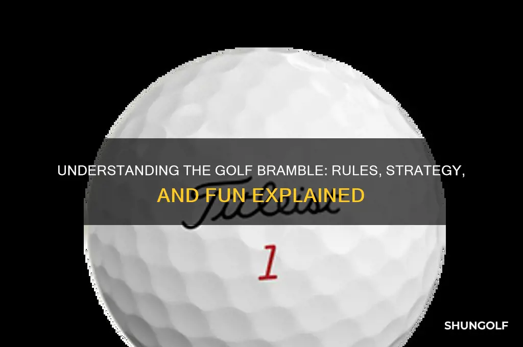 what is a golf bramble
