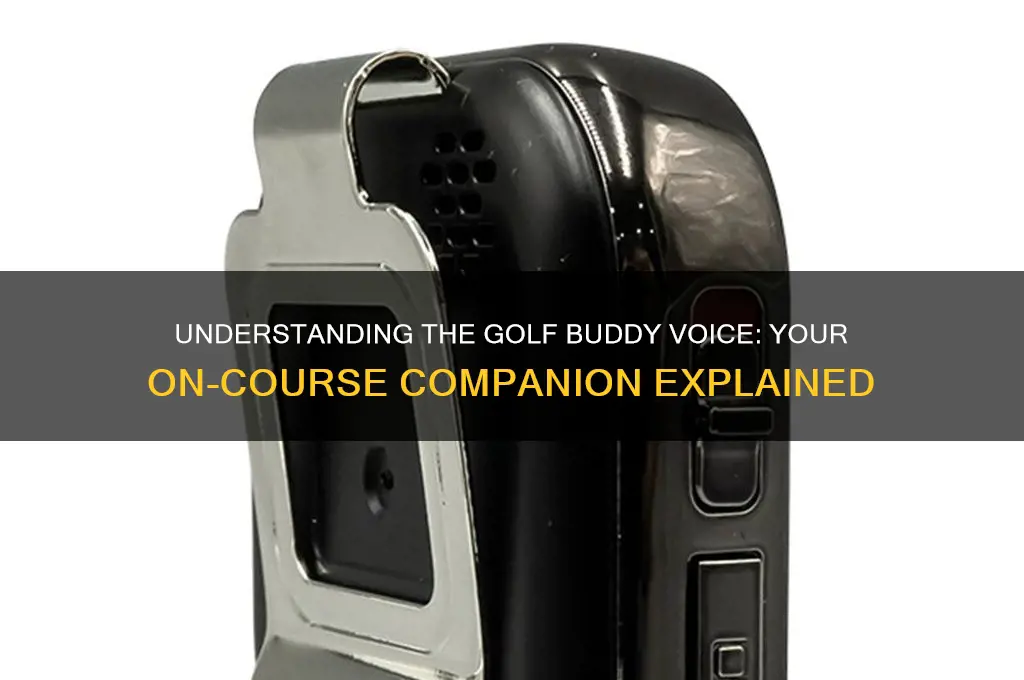 what is a golf buddy voice