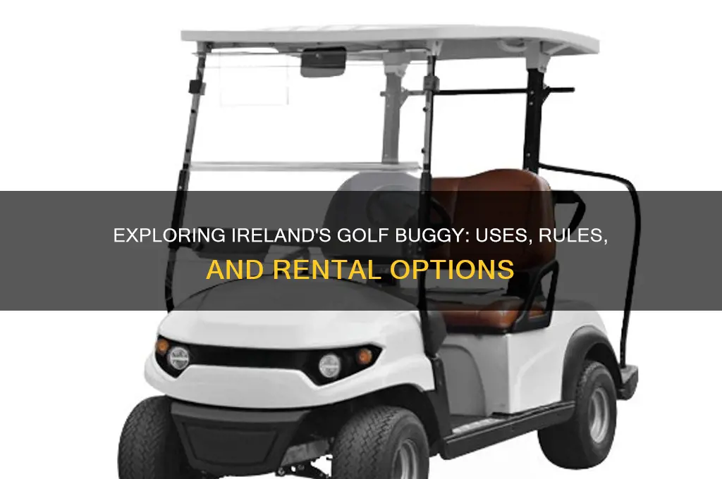 what is a golf buggy in ireland
