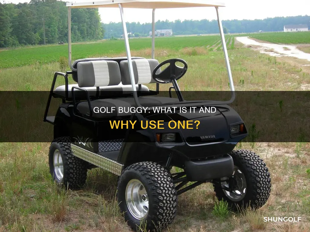 what is a golf buggy