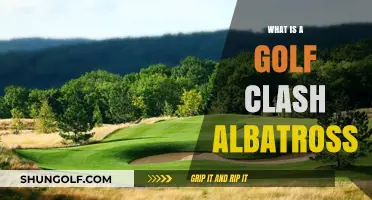 Understanding the Rare Golf Clash Albatross: A Hole-in-One Guide