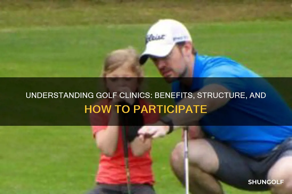 what is a golf clinic