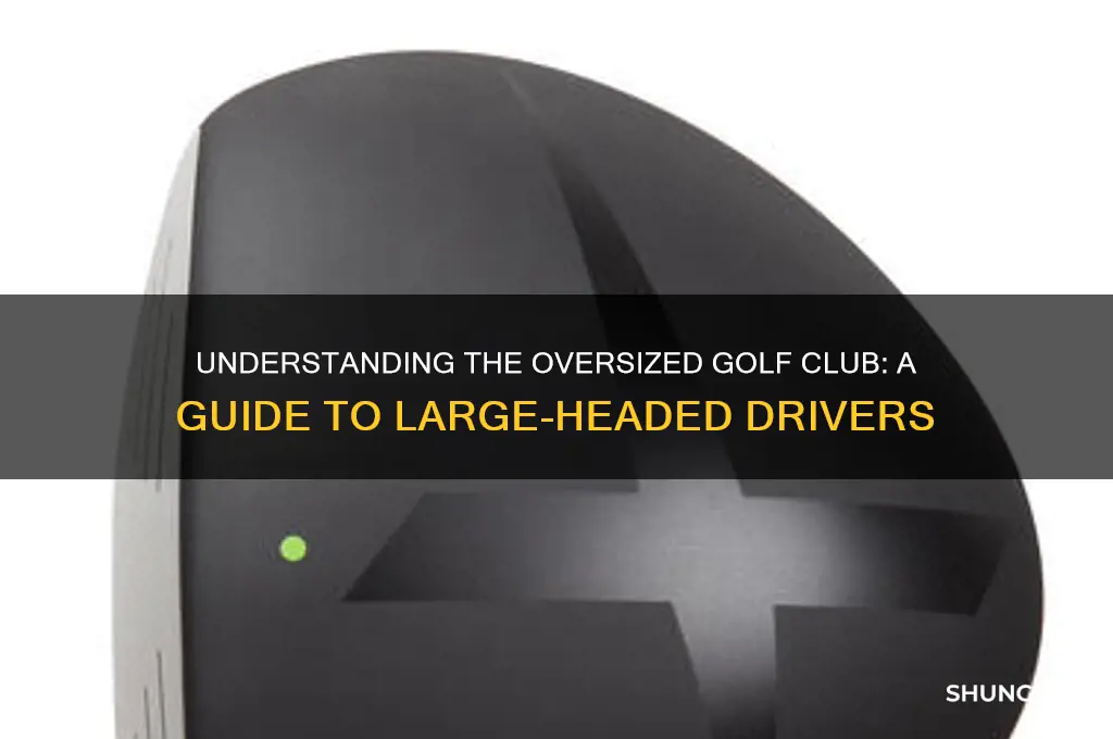 what is a golf club with a large head called