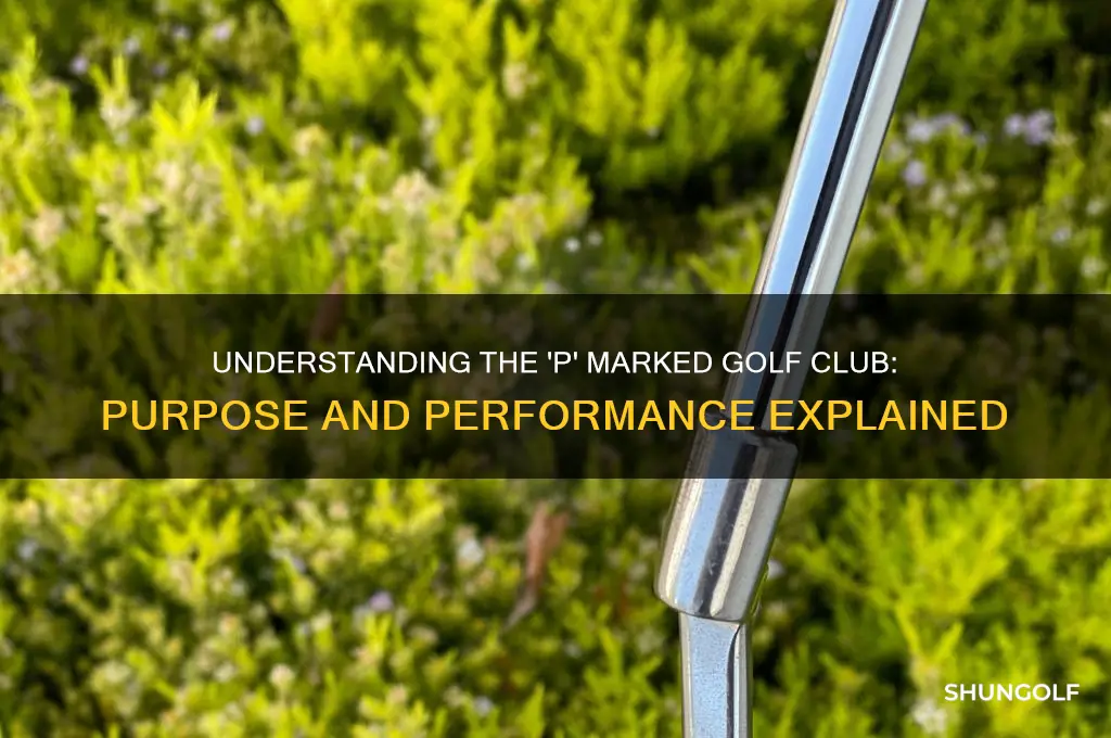 what is a golf club with p on it
