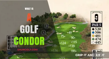 Golf's Rare Condor: What It Is and How to Score One