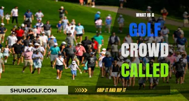 Understanding the Unique Name for a Golf Crowd: Gallery Explained