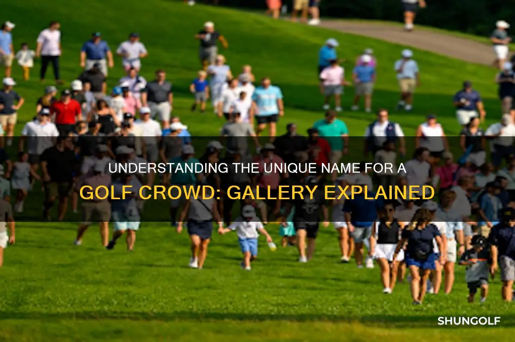 what is a golf crowd called