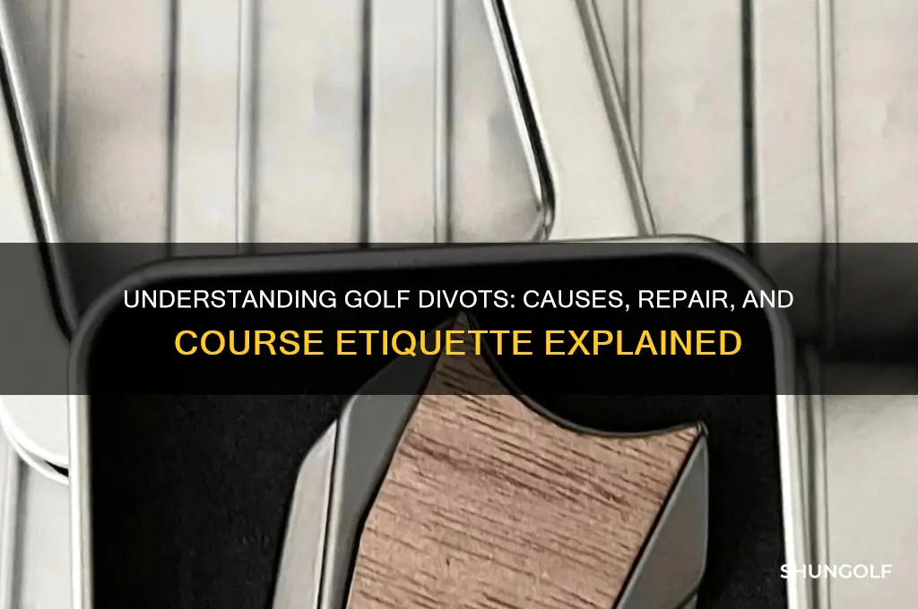 what is a golf divet