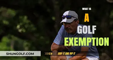 Understanding Golf Exemptions: A Key to Tournament Access and Status
