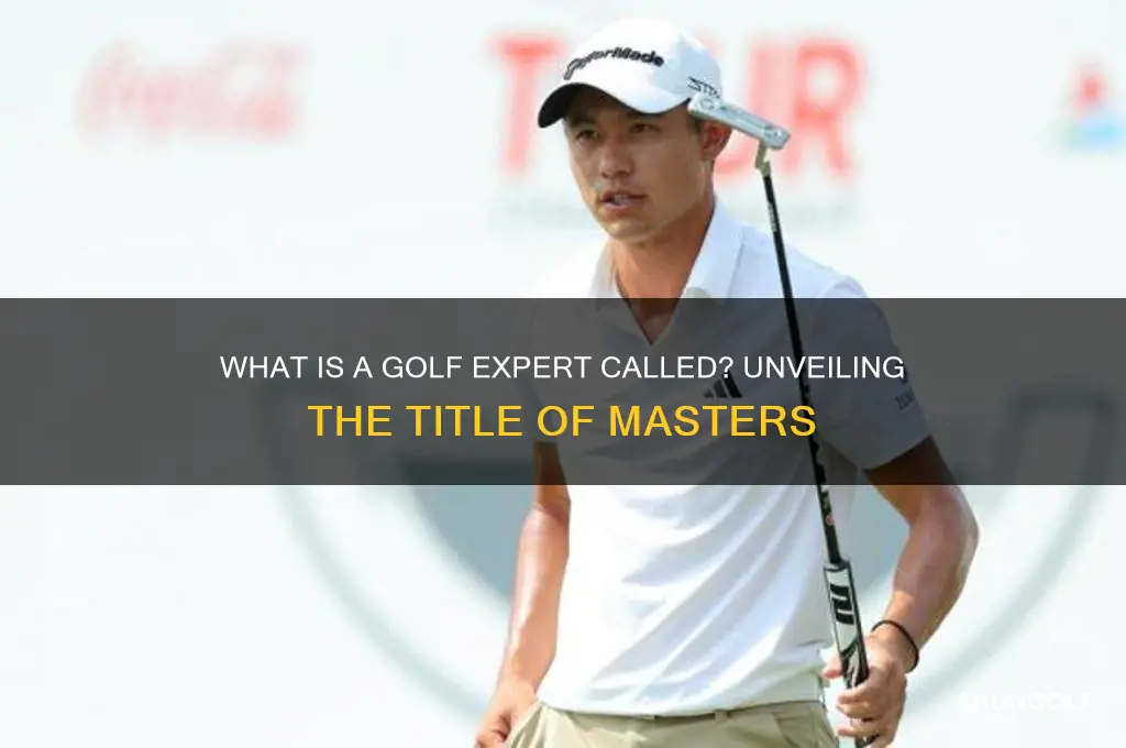 what is a golf expert called