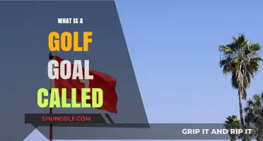 Understanding the Golf Goal: What’s the Official Name for It?