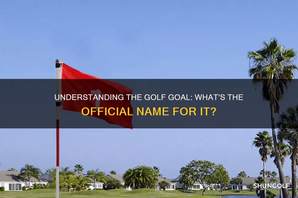 what is a golf goal called