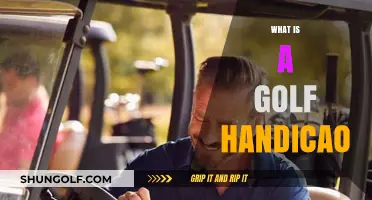 Understanding Golf Handicaps: A Beginner's Guide to Fair Play