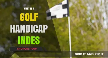 Understanding Your Golf Handicap Index: A Beginner's Guide