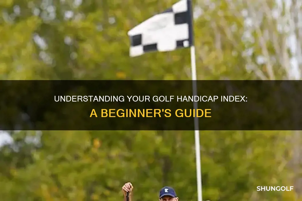 what is a golf handicap indes