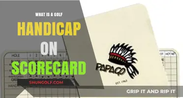 Understanding Golf Handicap: Decoding Your Scorecard for Fair Play