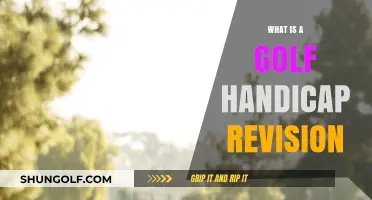 Understanding Golf Handicap Revisions: How and Why They're Updated