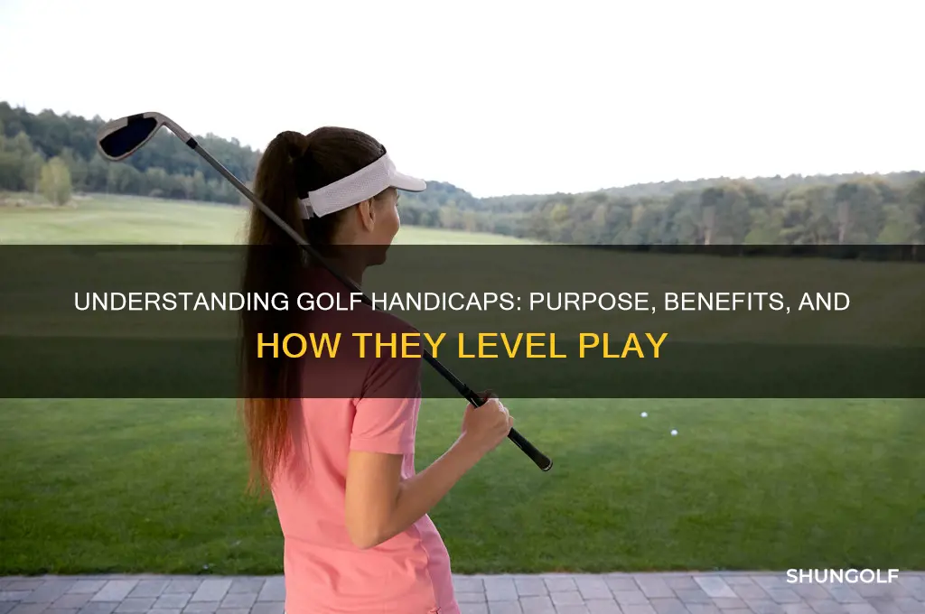 what is a golf handicap used for