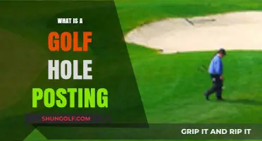Understanding Golf Hole Posting: A Beginner's Guide to Scoring Rules