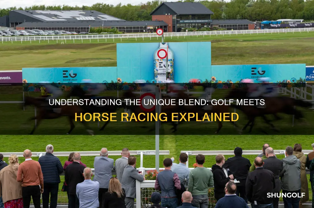 what is a golf horse race