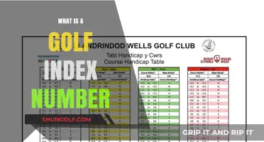 Understanding Your Golf Index Number: A Beginner's Guide to Handicap Tracking