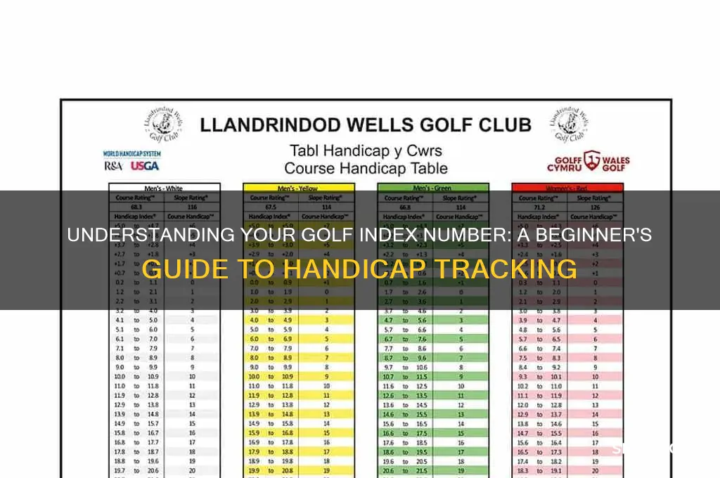 what is a golf index number