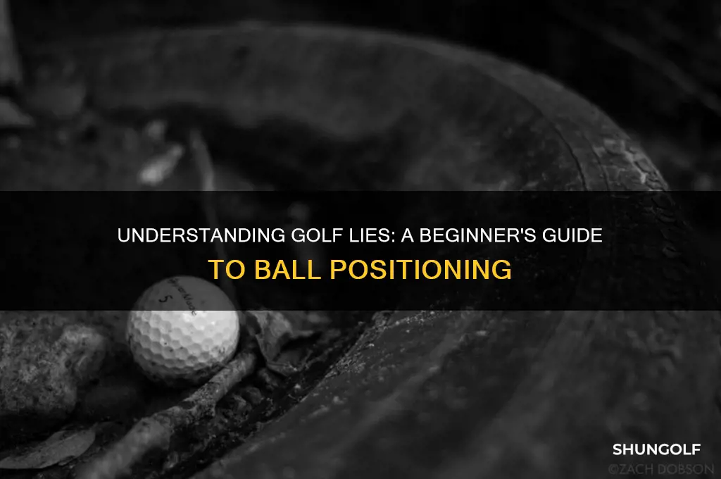 what is a golf lie