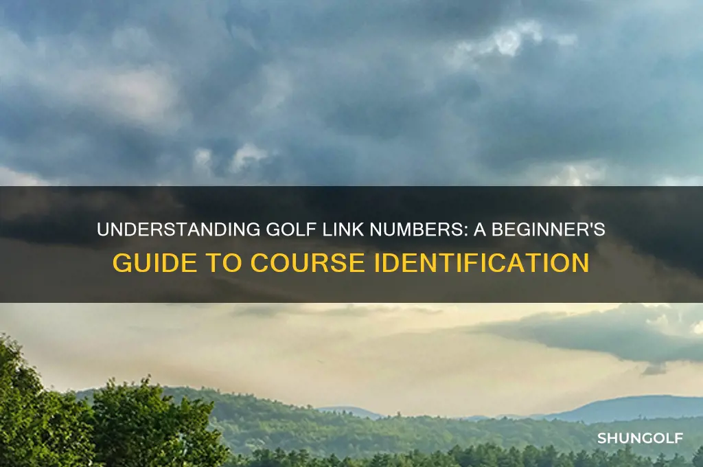 what is a golf link number