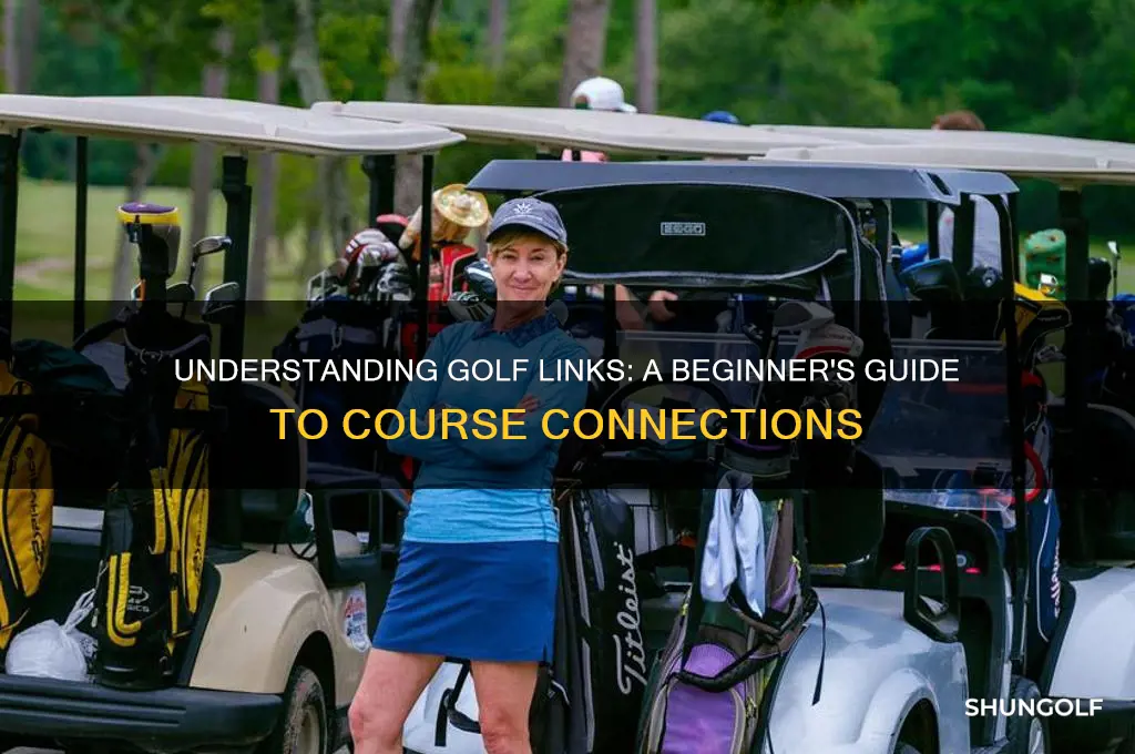 what is a golf link