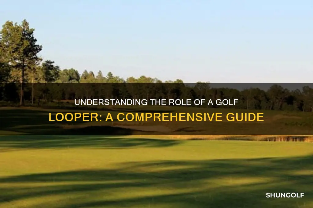 what is a golf looper