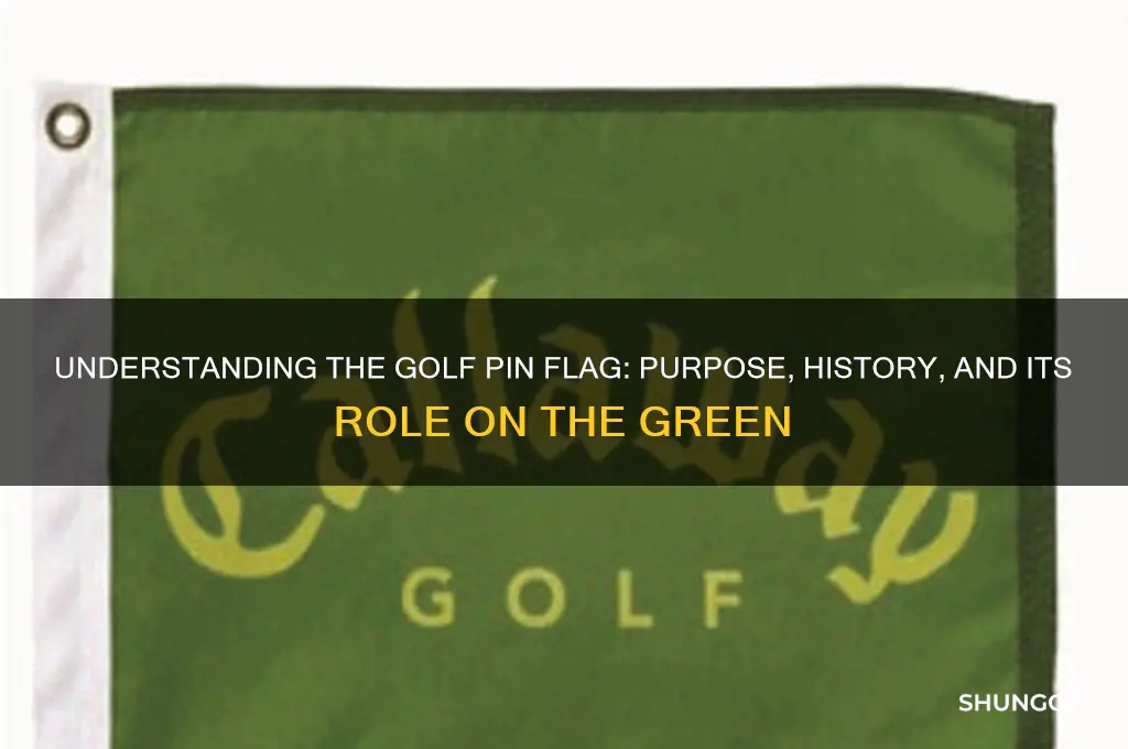 what is a golf pin flag