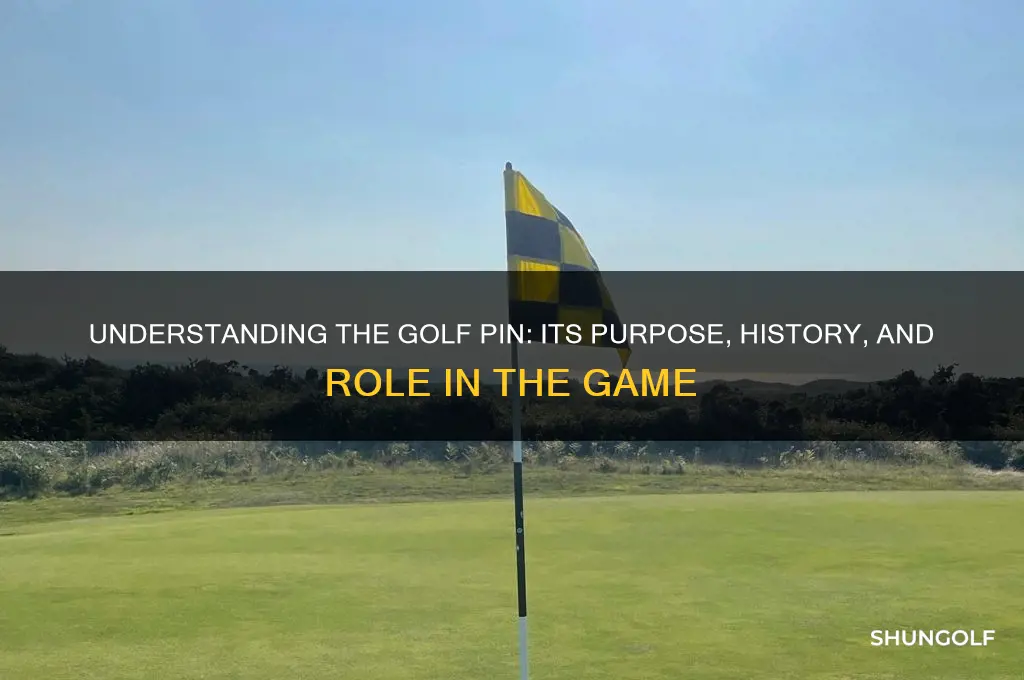 what is a golf pin