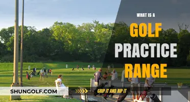 Master Your Swing: Understanding the Golf Practice Range Essentials