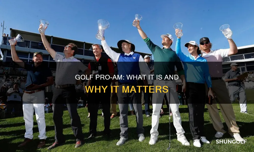 what is a golf pro am