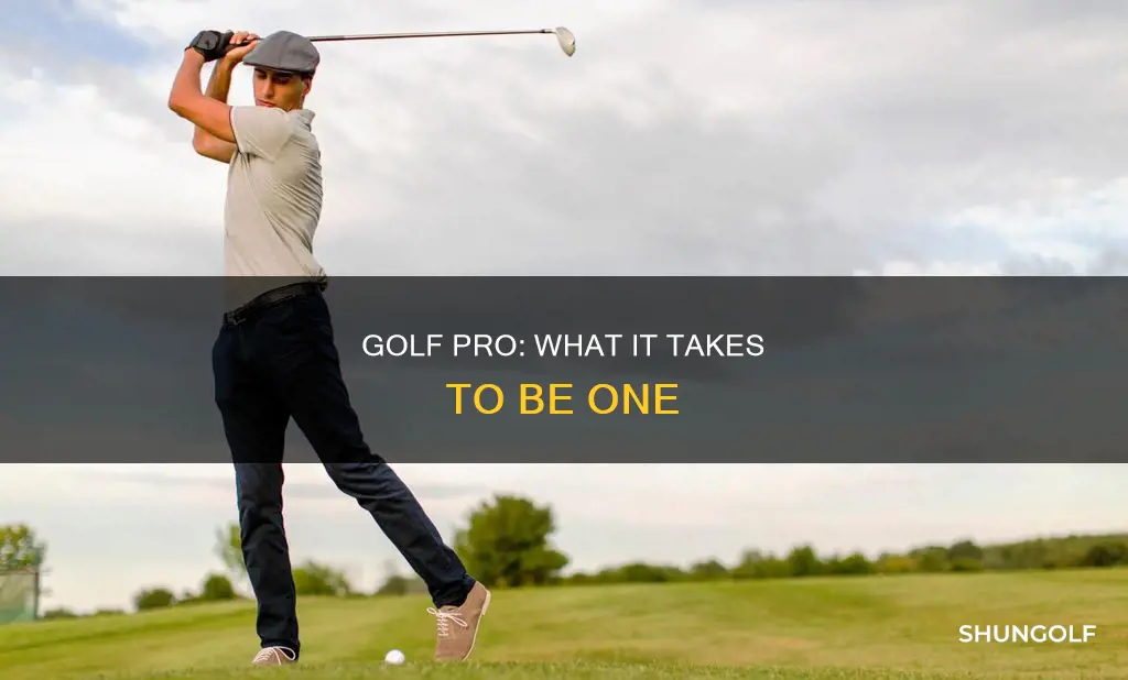 what is a golf pro